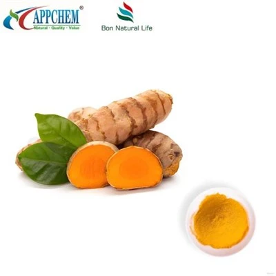 Curcumin Powder HPLC95%; Curcuminoids; Turmeric Extract