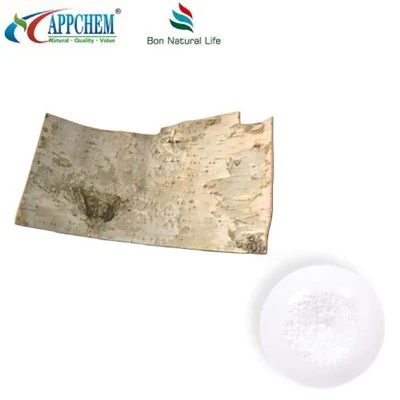 Pure Birch Bark Extract