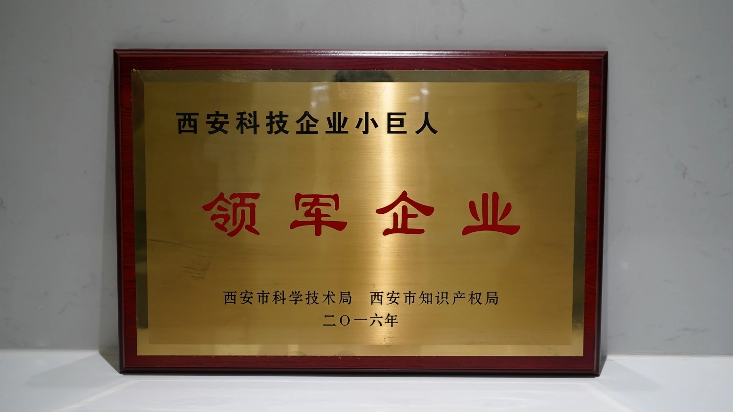 DSC01282