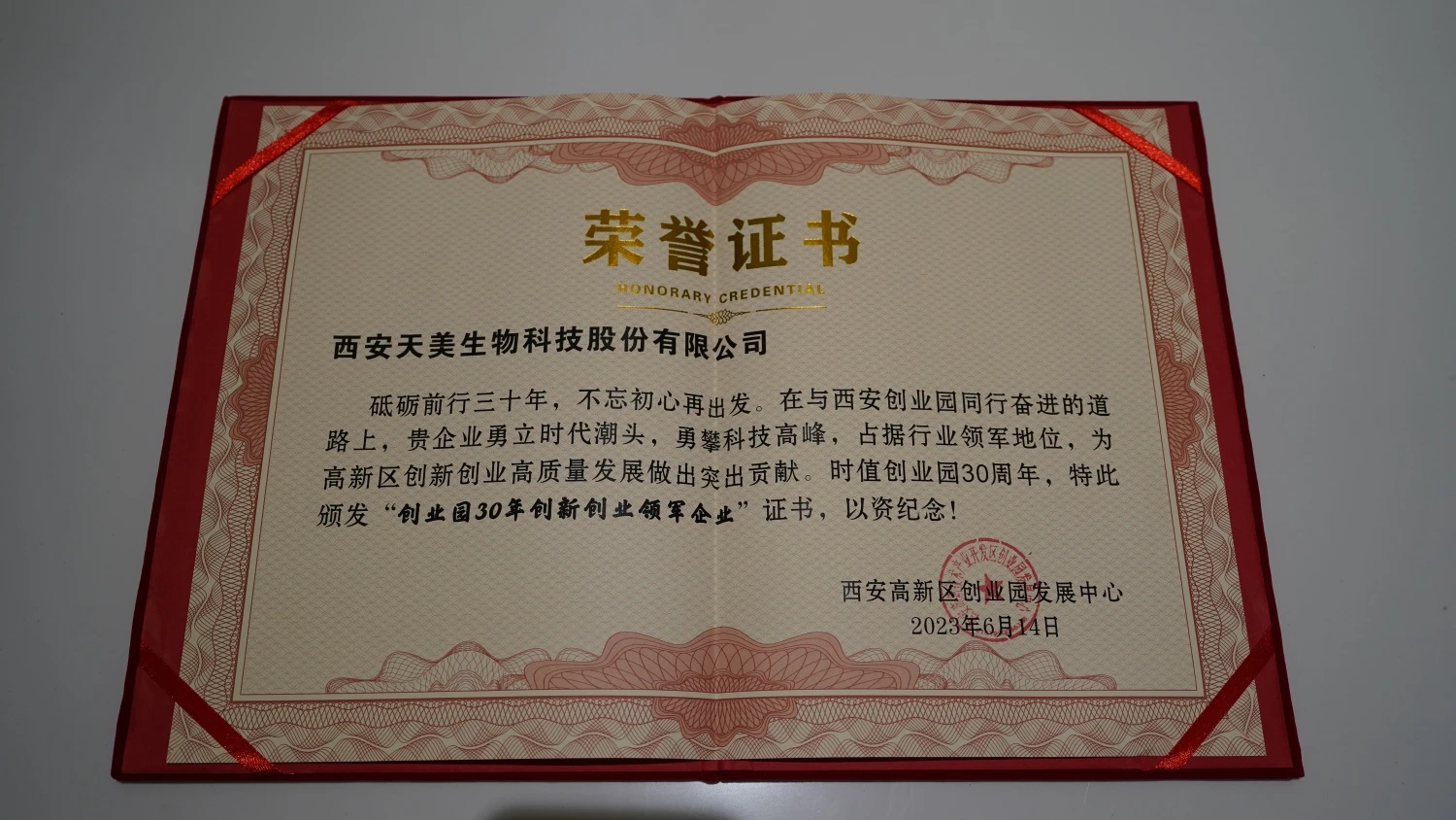 DSC01298 DSC01298