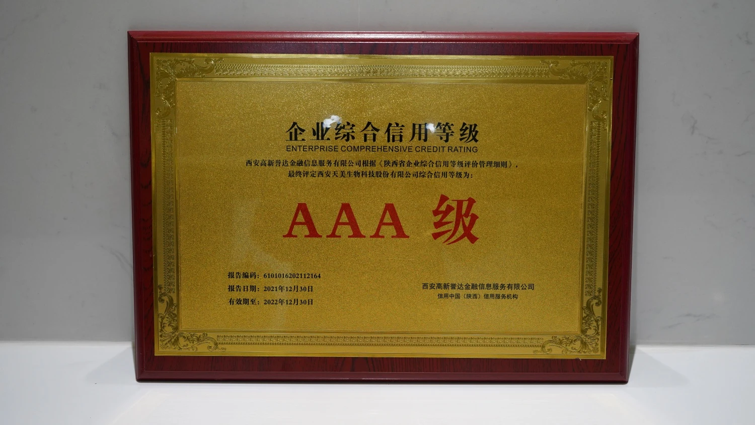 DSC01293