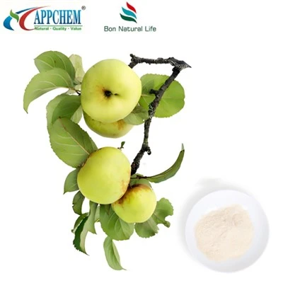 Phloretin Powder