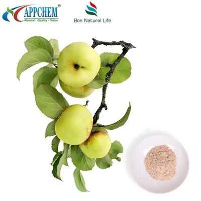 Pure Phlorizin Powder