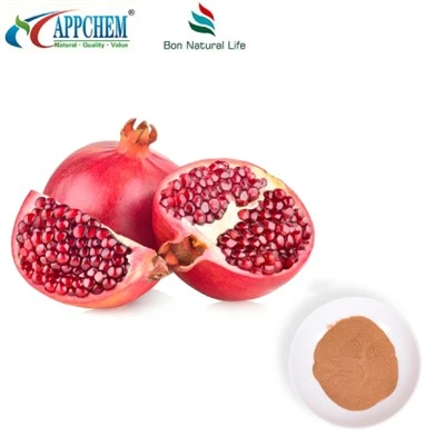 Pomegranate Extract Powder