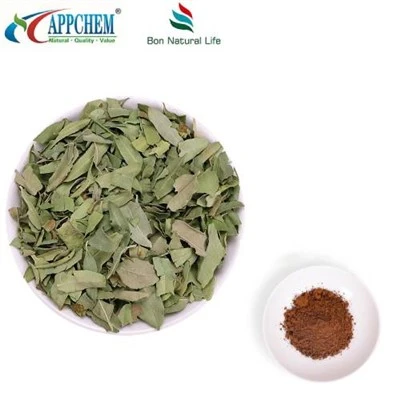 Apocynum Venetum Powder