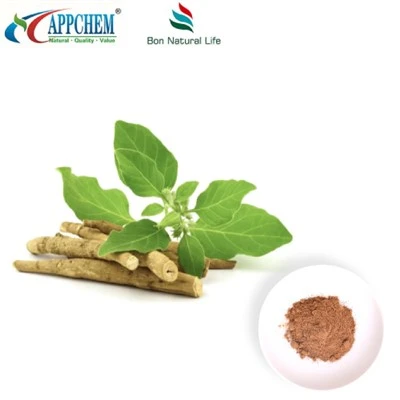 Ashwagandha Extract Powder (Withanolides) 30655-48-2