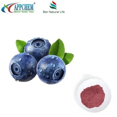 Blueberry Juice Powder
