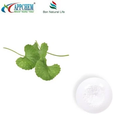 Centella Asiatica Extract Powder