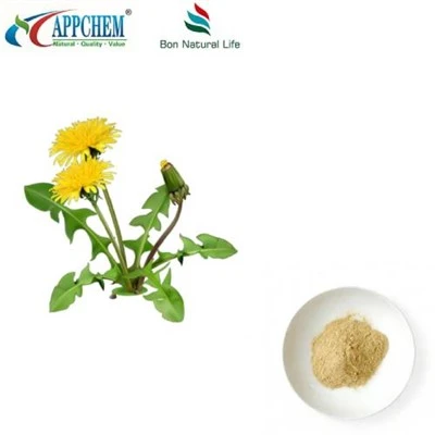 Dandelion Extract Powder Flavonoids