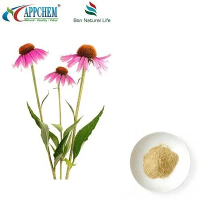 Echinacea Purpurea Extract Powder