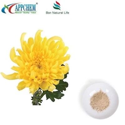 Flos Chrysanthemi Extract Powder