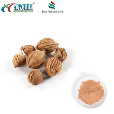Fructus Amomi Extract Powder