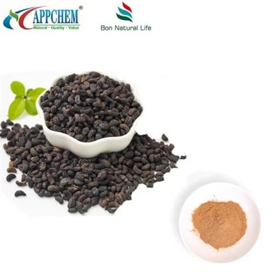 Fructus Ligustri Lucidi Extract