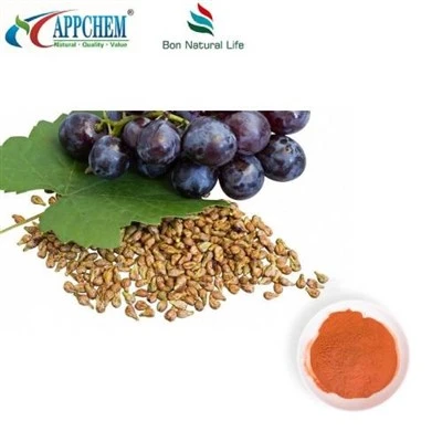 Standardised Grape Seed Extract Powder