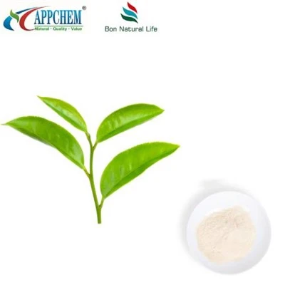 Green Tea Extract L-Theanine