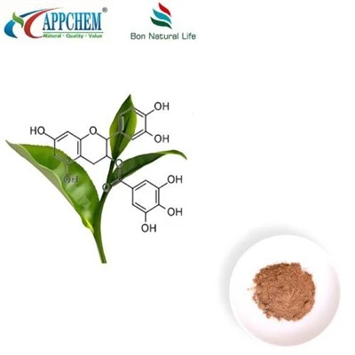 Green Tea Extract Polyphenol