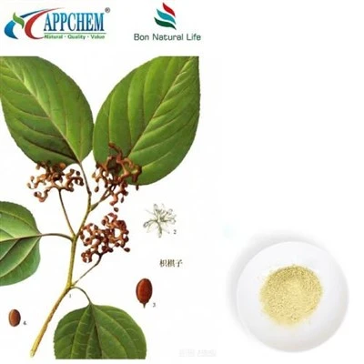 Hovenia Dulcis Extract Powder