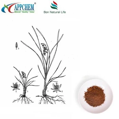 Lilyturf Root Extract
