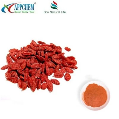 Lycium Barbarum Extract