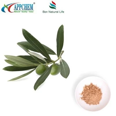 Oleuropein Powder HPLC20% 32619-42-4