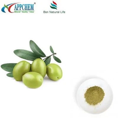 Olive Leaf Extract Oleuropein Powder Bulk Supply