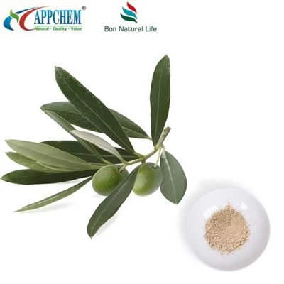 Olive Leaf Extract Powder
