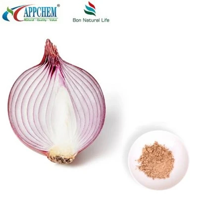Onion Extract Powder