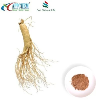 Panax Ginseng Extract Powder