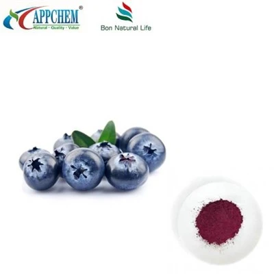 Pure Blueberry Extract Powder