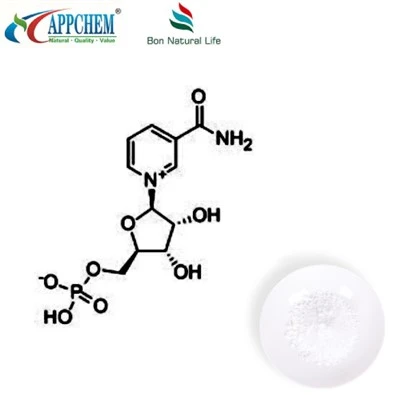 Pure NMN 99% Powder