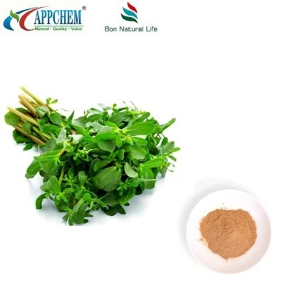 Purslane Extract Powder