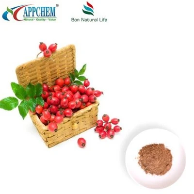 Rosehip Extract Powder