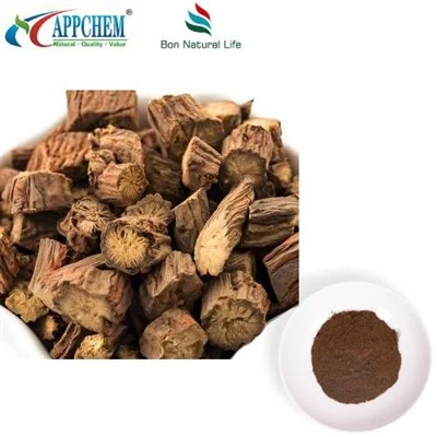 Salvia Miltiorrhiza Extract Powder