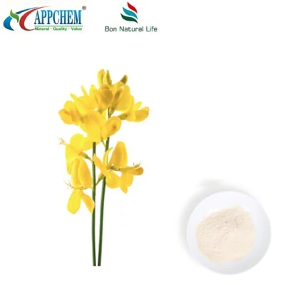 Thermopsis Lanceolata R.Br Extract; Cytisine HPLC98% Powder 485-35-8