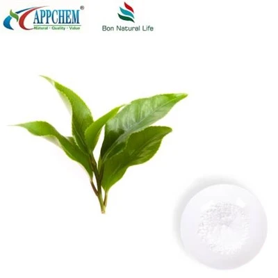 Bulk Vine Tea Extract Dihydromyricetin Powder
